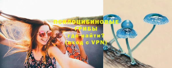 гашик Балабаново
