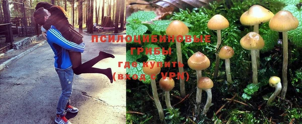 apvp Баксан