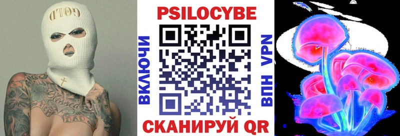 где можно купить наркотик  блэк спрут ССЫЛКА  Галлюциногенные грибы Psilocybe  Лермонтов 