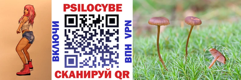 Галлюциногенные грибы Cubensis Лермонтов