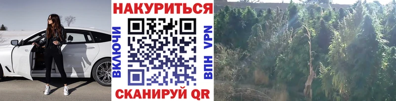 Бошки марихуана OG Kush  где купить наркоту  Лермонтов 